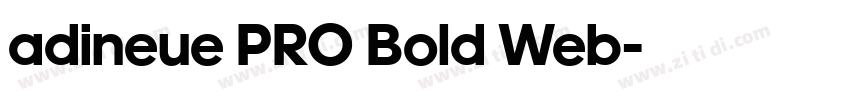 adineue PRO Bold Web字体转换